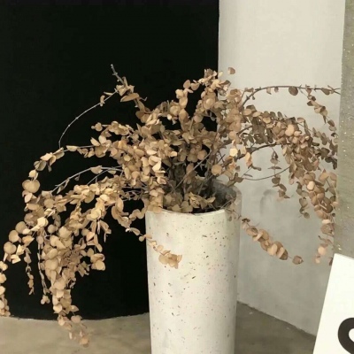 盘州FurryQQ群介绍